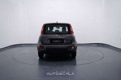 Fiat Panda 1.0 firefly hybrid s&s 70cv 5p.ti (5)