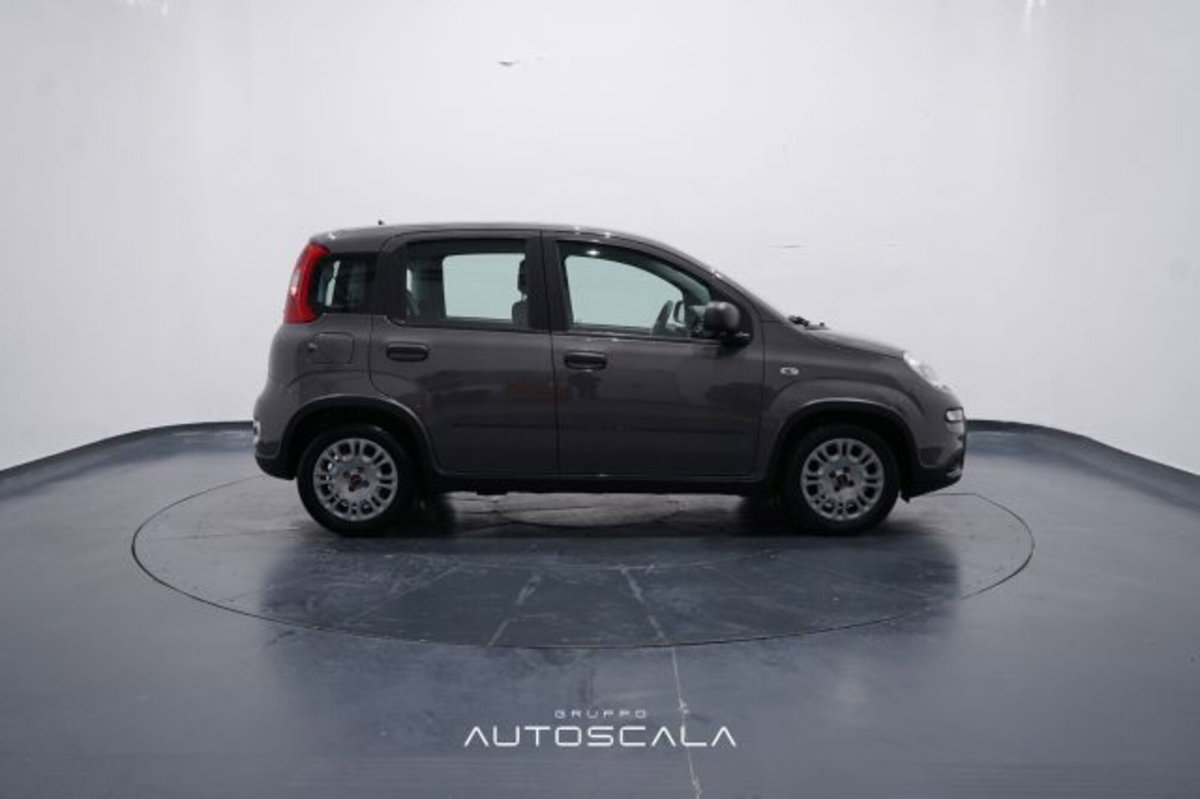 Fiat Panda 1.0 firefly hybrid s&s 70cv 5p.ti (7)