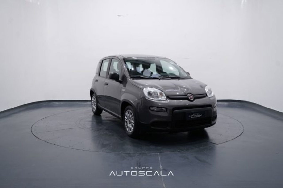 Fiat Panda 1.0 firefly hybrid s&s 70cv 5p.ti (8)