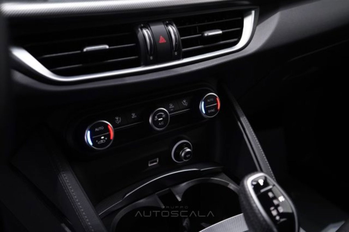 Alfa Romeo Stelvio Stelvio 2.2 Turbodiesel 160 CV AT8 RWD Sprint (15)