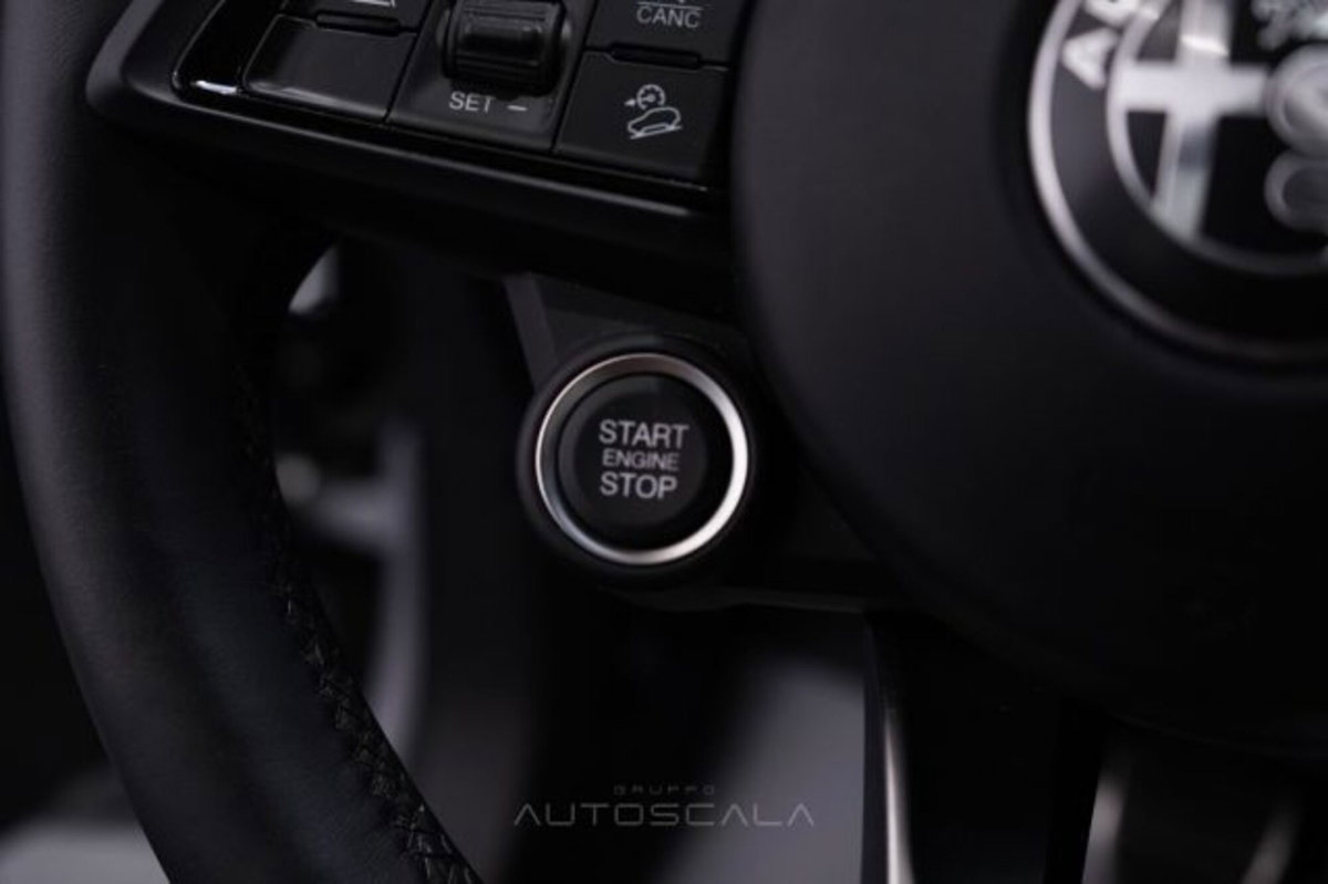 Alfa Romeo Stelvio Stelvio 2.2 Turbodiesel 160 CV AT8 RWD Sprint (18)