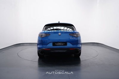 Alfa Romeo Stelvio Stelvio 2.2 Turbodiesel 160 CV AT8 RWD Sprint (5)