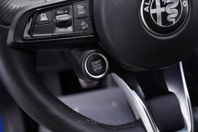 Alfa Romeo Stelvio Stelvio 2.2 Turbodiesel 160 CV AT8 RWD Sprint (17)
