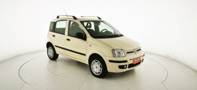 Fiat Panda 1.4 Dynamic Natural Power (17)