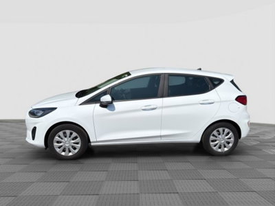 Ford Fiesta 1.1 75 CV GPL 5 porte Plus (2)