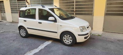 Fiat Panda 1.2 Dynamic usata