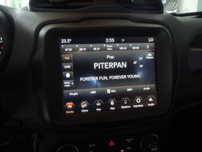 Jeep Renegade 1.0 T3 Limited (10)
