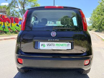 Fiat Panda 0.9 TwinAir Turbo S&S K-Way (6)