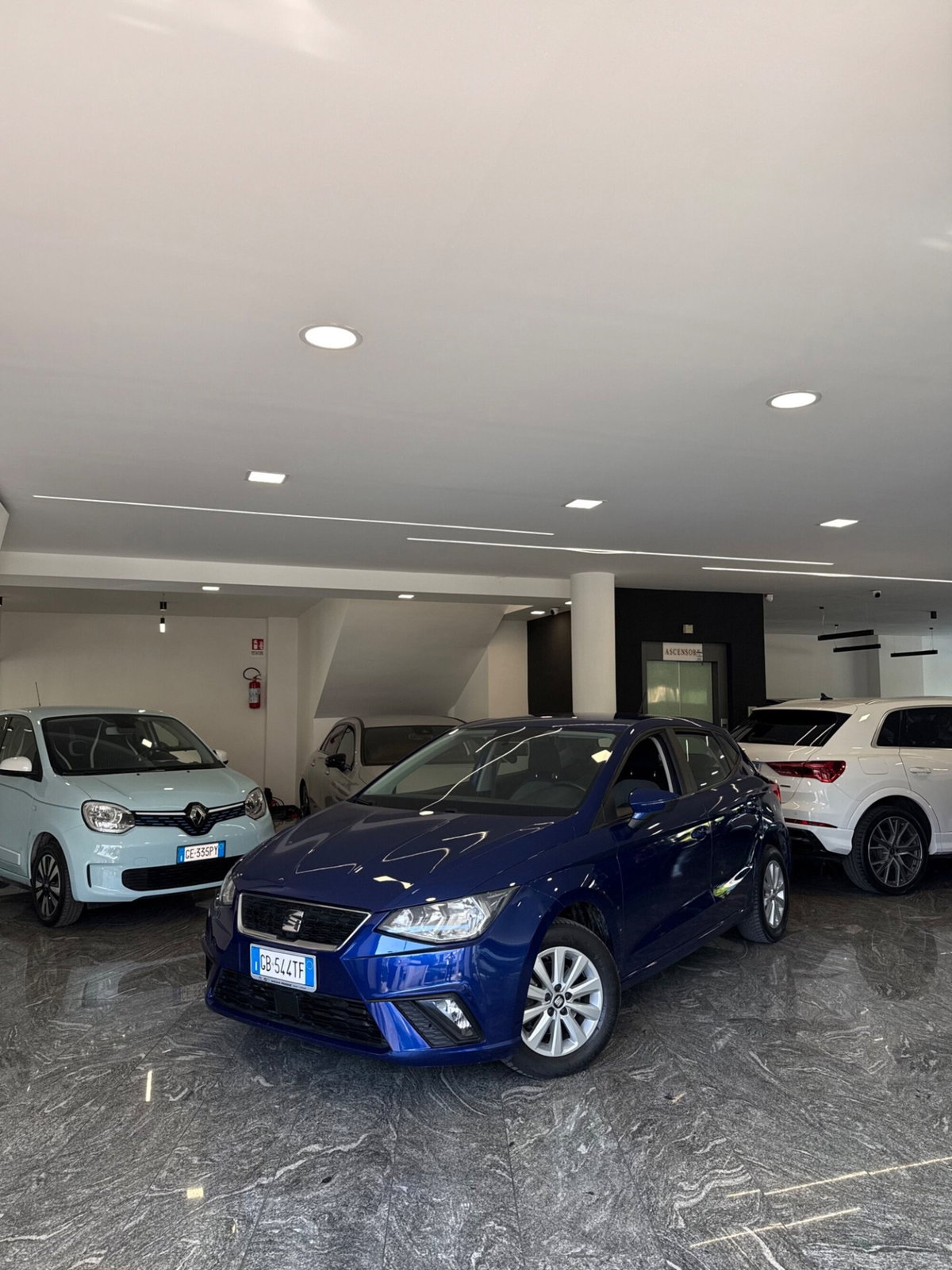 SEAT Ibiza 1.6 TDI 95 CV 5 porte Business