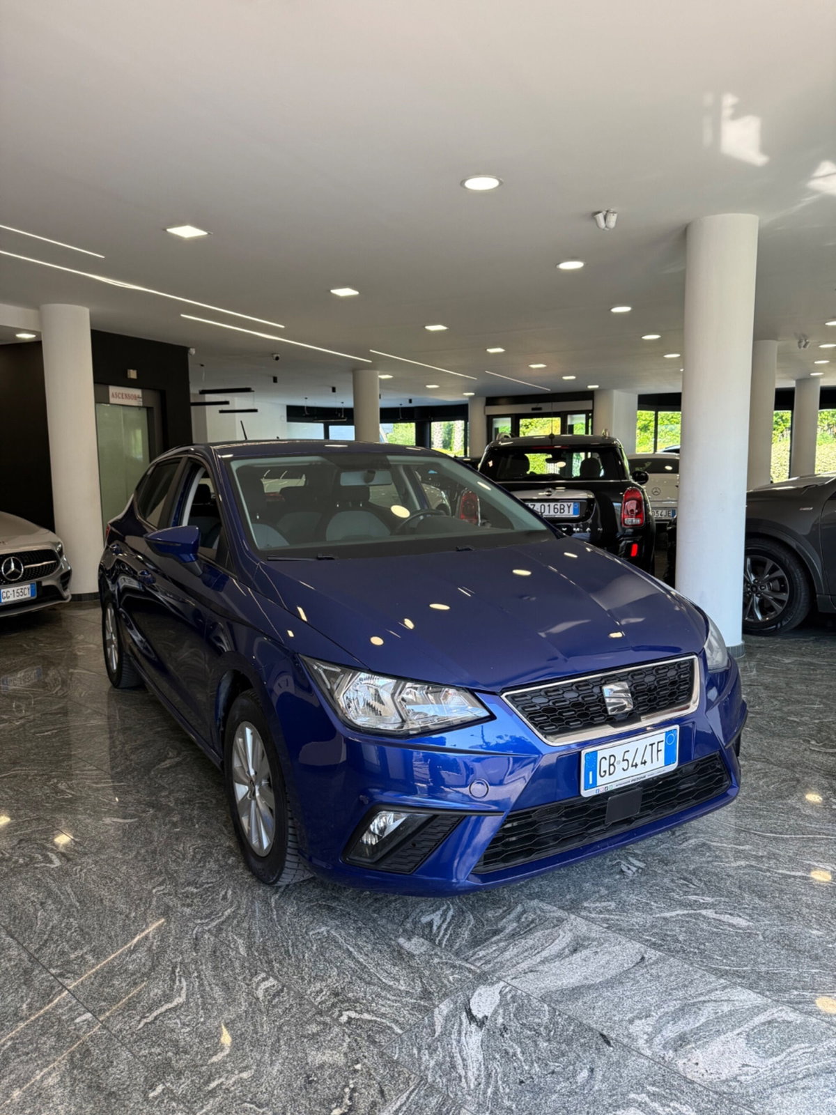SEAT Ibiza 1.6 TDI 95 CV 5 porte Business (3)