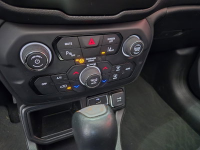 Jeep Renegade 1.6 Mjt DDCT 120 CV Limited (17)
