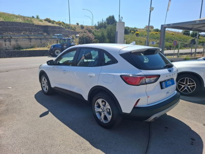 Ford Kuga 1.5 EcoBlue 120 CV aut. 2WD (4)