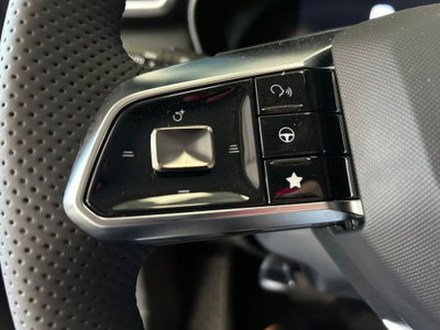 Mg ZS 1.5 hybrid+ Luxury auto (20)