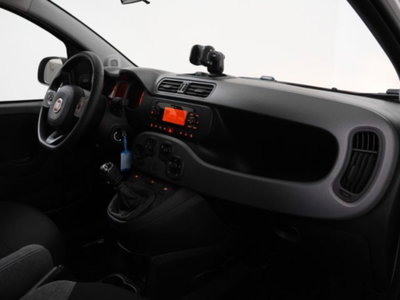 Fiat Panda 1.0 firefly hybrid s&s 70cv 5p.ti (12)