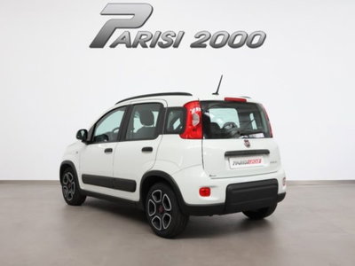 Fiat Panda 1.0 firefly hybrid s&s 70cv 5p.ti (4)