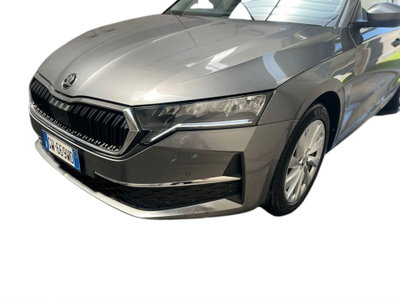 Skoda Octavia Station Wagon 2.0 tdi Executive 150cv dsg (5)