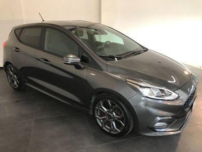 Ford Fiesta 1.1 85 CV 5 porte ST-Line (3)