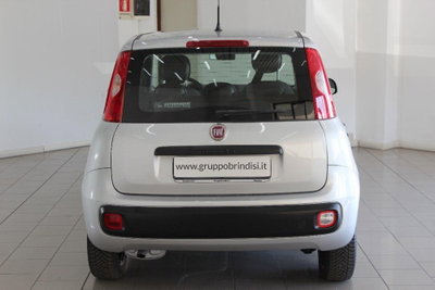 Fiat Panda 1.3 MJT 95 CV S&S Easy (5)