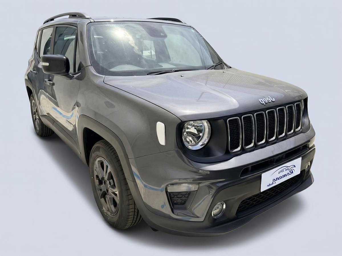 Jeep Renegade 1.6 Mjt 130 CV Business (2)