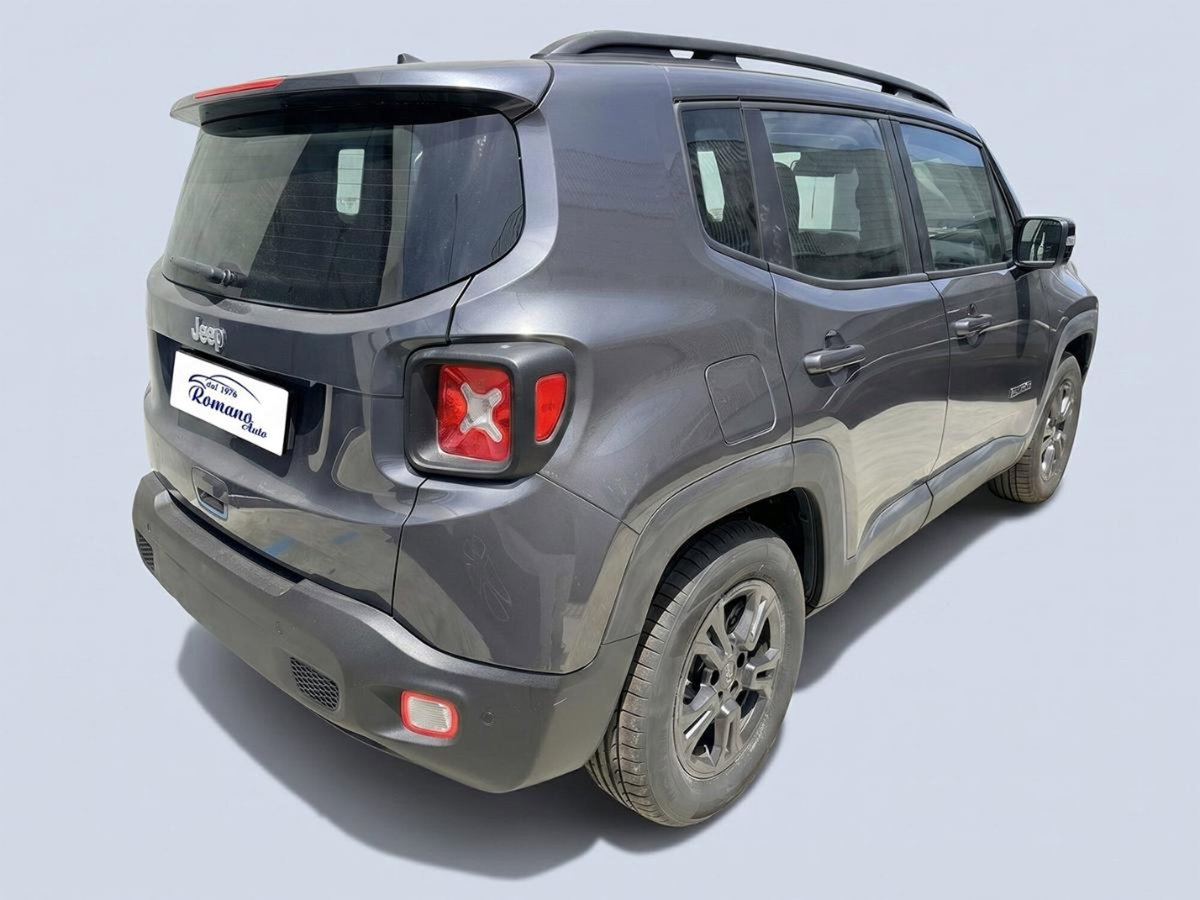 Jeep Renegade 1.6 Mjt 130 CV Business (3)