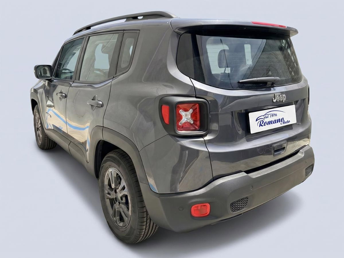 Jeep Renegade 1.6 Mjt 130 CV Business (4)