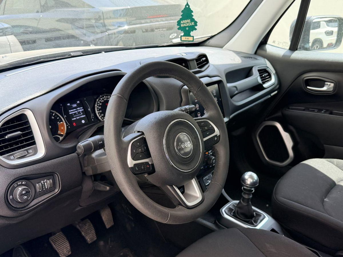 Jeep Renegade 1.6 Mjt 130 CV Business (7)