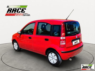 Fiat Panda 1.1 Active (2)