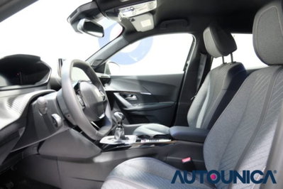Peugeot 2008 PureTech 100 S&S Allure (18)
