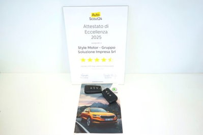 Skoda Karoq 2.0 TDI EVO SCR 115 CV DSG Style (15)