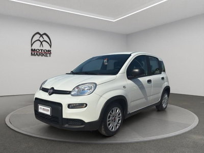 Fiat Panda Cross Cross 1.0 FireFly S&S Hybrid usata