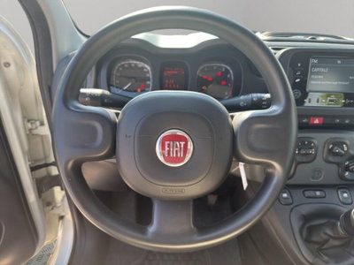 Fiat Panda Cross Cross 1.0 FireFly S&S Hybrid (10)