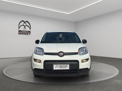 Fiat Panda Cross Cross 1.0 FireFly S&S Hybrid (2)
