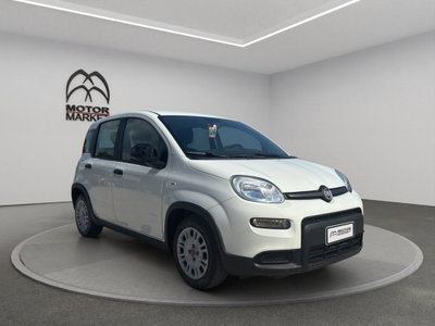 Fiat Panda Cross Cross 1.0 FireFly S&S Hybrid (3)