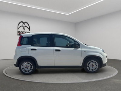 Fiat Panda Cross Cross 1.0 FireFly S&S Hybrid (4)