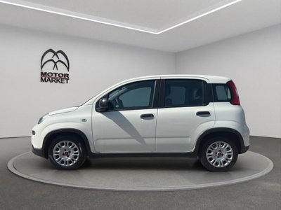 Fiat Panda Cross Cross 1.0 FireFly S&S Hybrid (5)