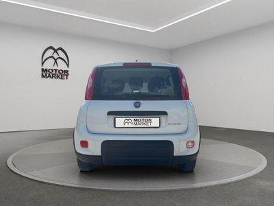 Fiat Panda Cross Cross 1.0 FireFly S&S Hybrid (6)