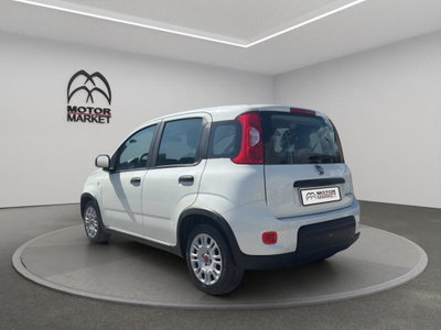 Fiat Panda Cross Cross 1.0 FireFly S&S Hybrid (8)