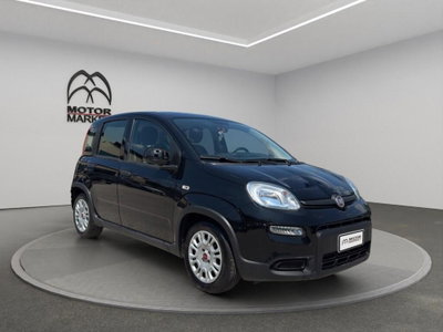 Fiat Panda Cross Cross 1.0 FireFly S&S Hybrid (3)