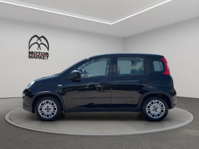 Fiat Panda Cross Cross 1.0 FireFly S&S Hybrid (5)
