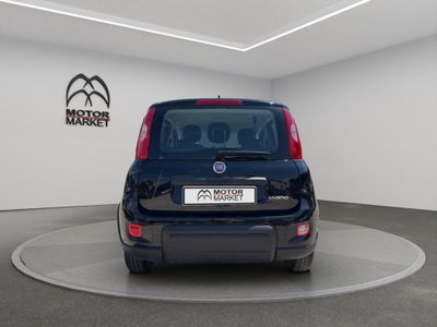 Fiat Panda Cross Cross 1.0 FireFly S&S Hybrid (6)