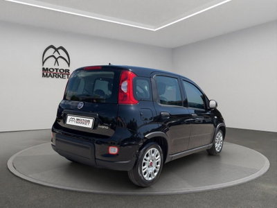 Fiat Panda Cross Cross 1.0 FireFly S&S Hybrid (7)