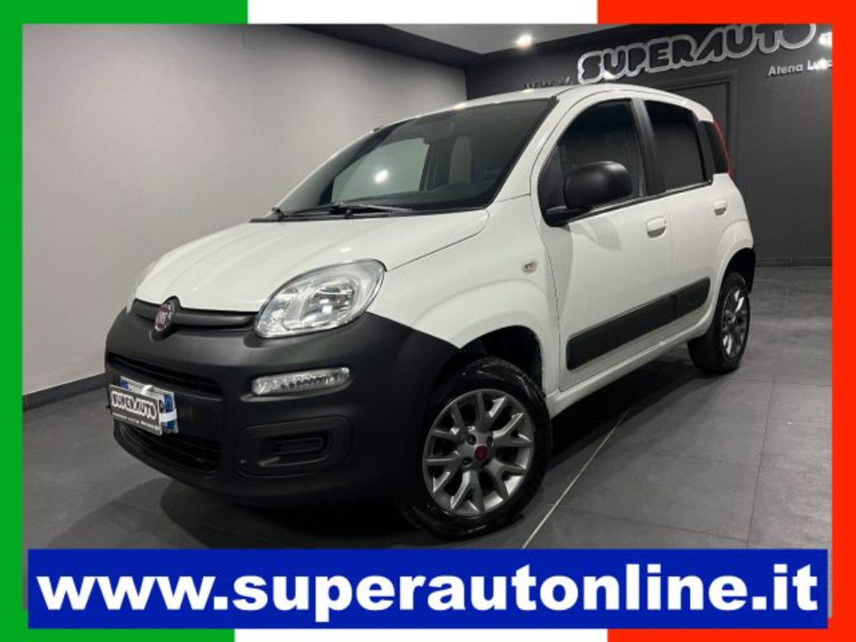 Fiat Panda 1.3 MJT 4x4 Pop Van 2 posti