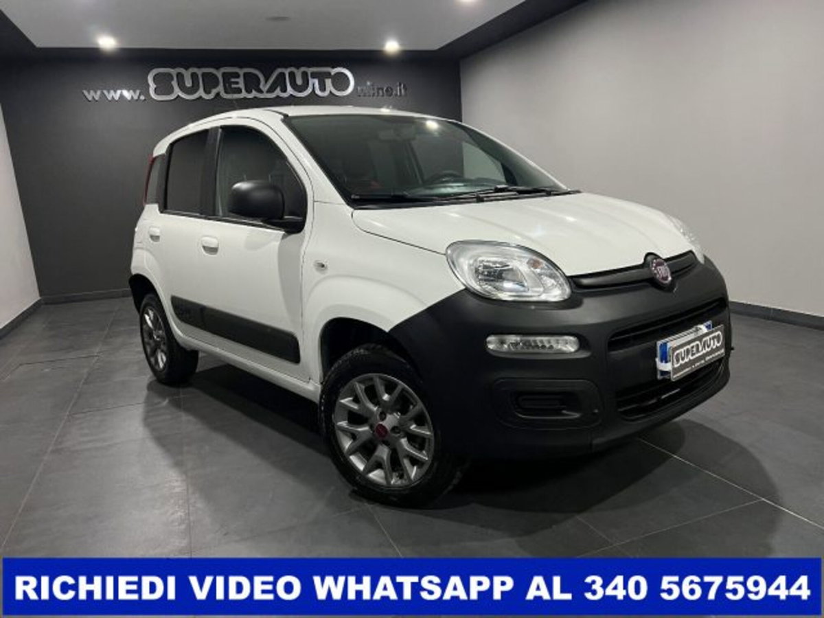 Fiat Panda 1.3 MJT 4x4 Pop Van 2 posti (2)