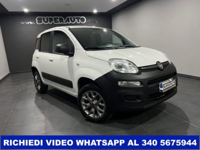 Fiat Panda 1.3 MJT 4x4 Pop Van 2 posti (2)