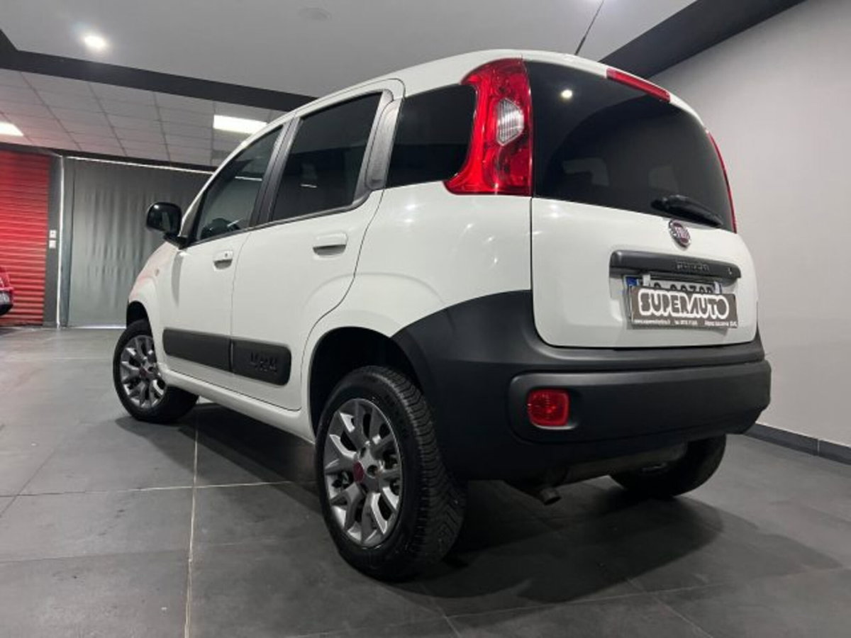 Fiat Panda 1.3 MJT 4x4 Pop Van 2 posti (3)