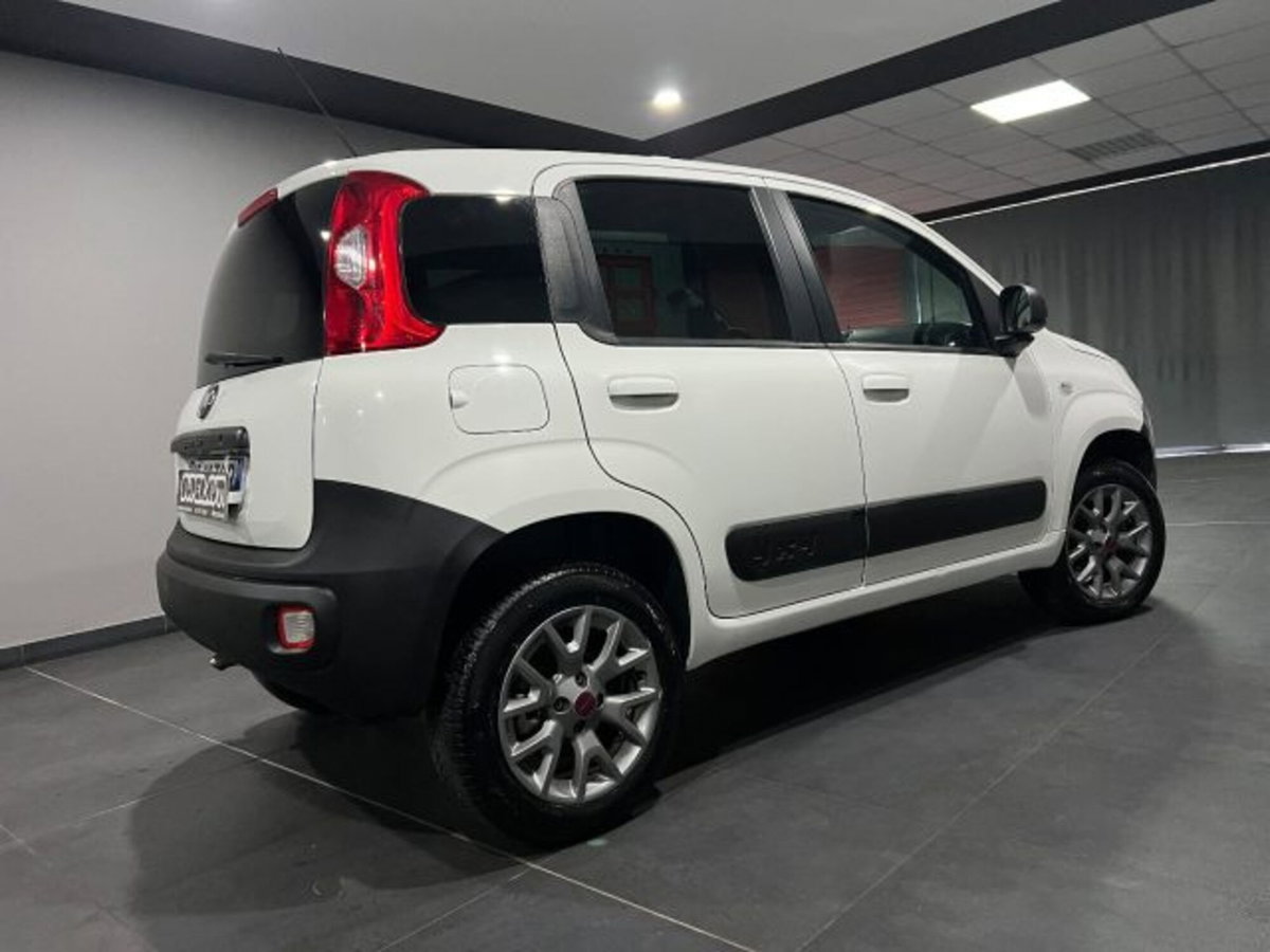 Fiat Panda 1.3 MJT 4x4 Pop Van 2 posti (4)