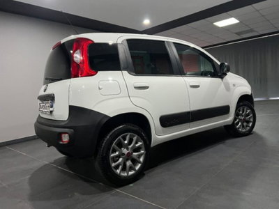 Fiat Panda 1.3 MJT 4x4 Pop Van 2 posti (4)