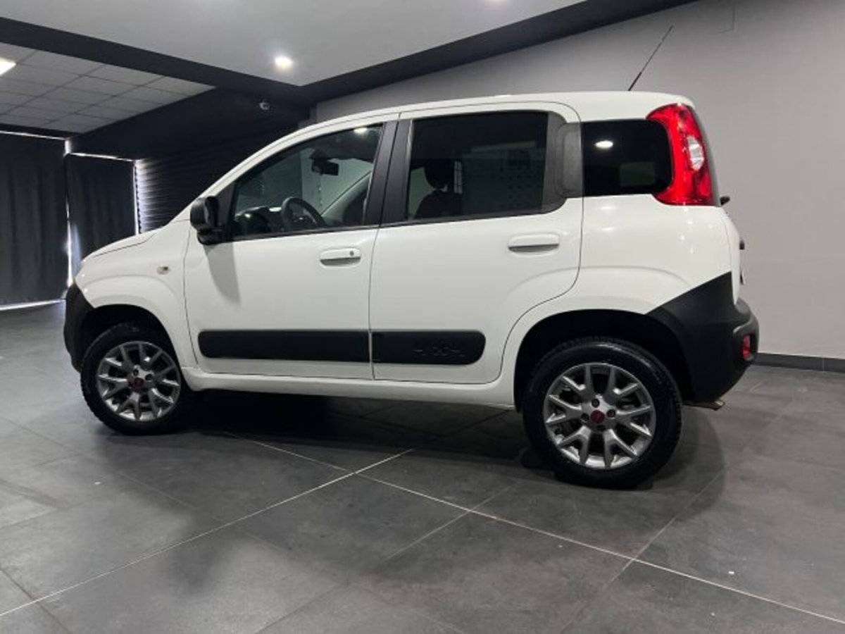 Fiat Panda 1.3 MJT 4x4 Pop Van 2 posti (5)