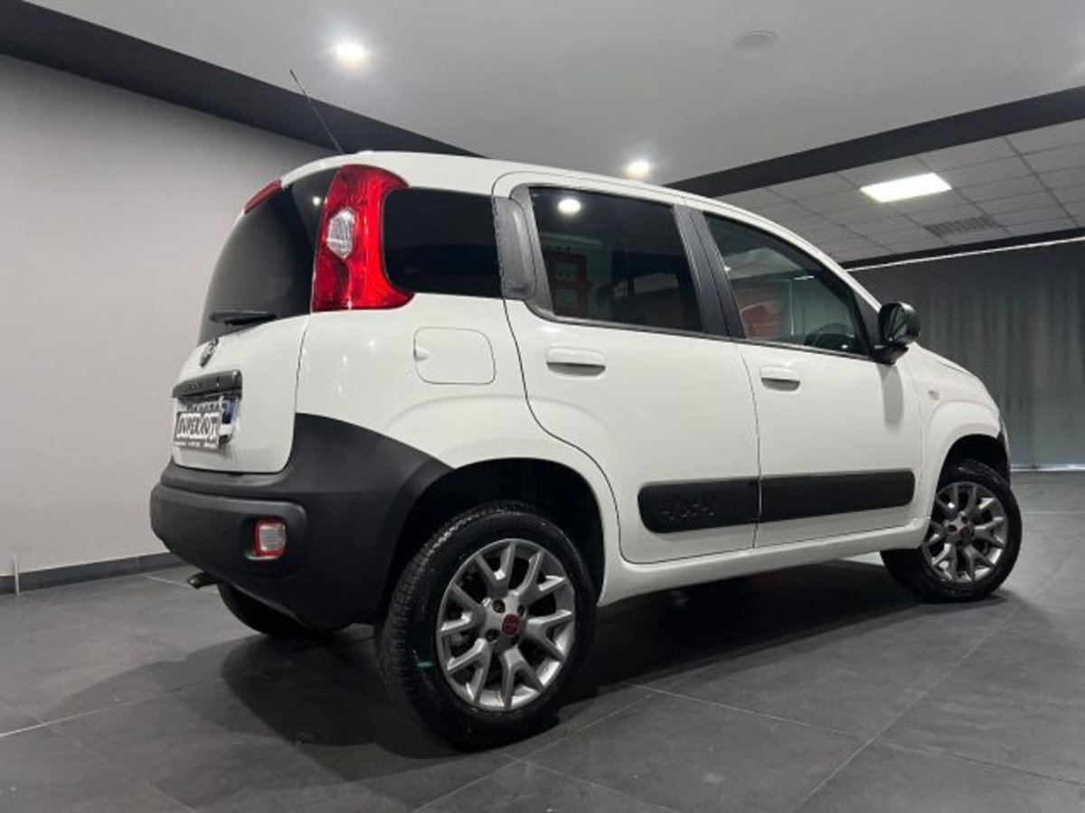 Fiat Panda 1.3 MJT 4x4 Pop Van 2 posti (6)