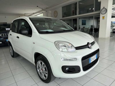 Fiat Panda 0.9 TwinAir Turbo Natural Power Easy usata